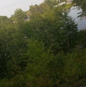 Meet your Posher, Leeam